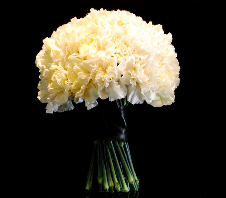 [sacramentobirch.jpeg]