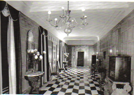 [adlerharlequin.jpg]