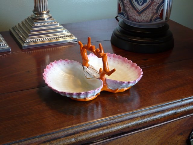 [shell+porcelain.jpg]