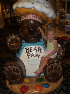 great wolf lodge, great wolf, the great wolf lodge, great wolf lodge resort