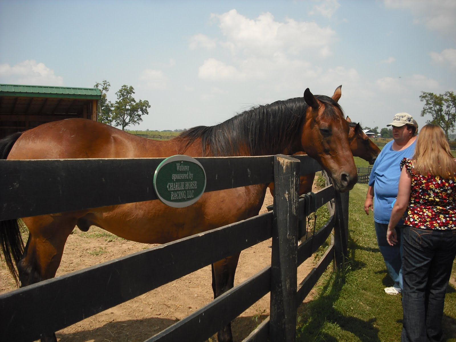 Kentucky Travels Old Friends Horse Farm Lexington