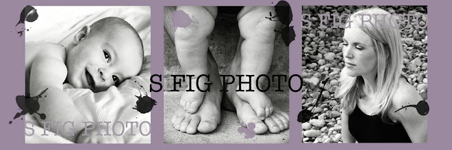 S Fig Photo