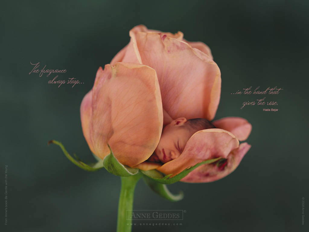 [AnneGeddes_Wallpaper1024_333.jpg]