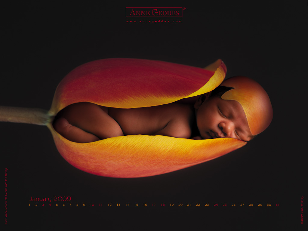 [AnneGeddes_Wallpaper1024_323.jpg]