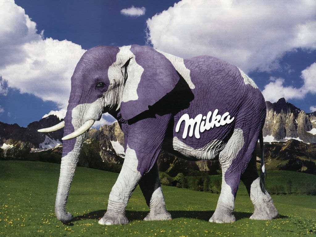 [Fond+Ecran+Milka.jpg]