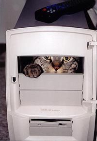 [photo-humour-animaux%20(15).jpg]