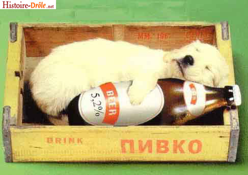 [image-drole-34.jpg]