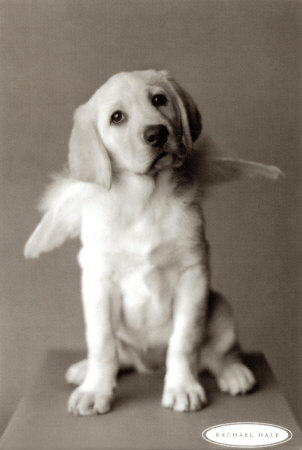 [953-002~Finn-Posters.jpg]