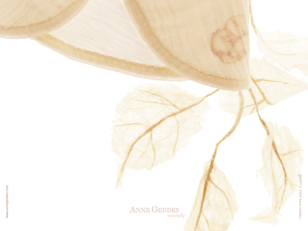 [AnneGeddes_Wallpaper1024_357.jpg]