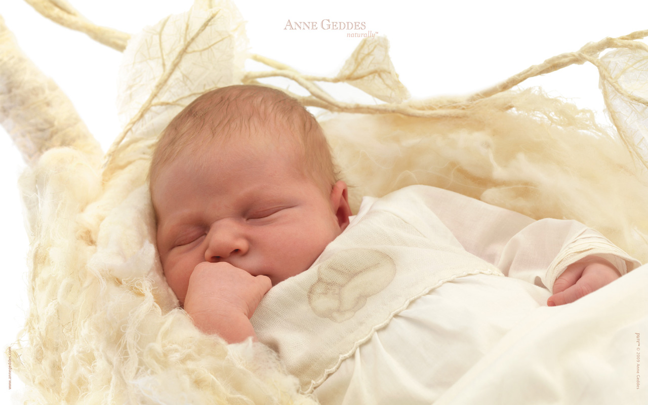 [AnneGeddes_Wallpaper1280800_362.jpg]