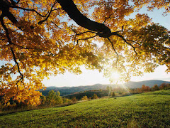 Le jour renait même en automne....
