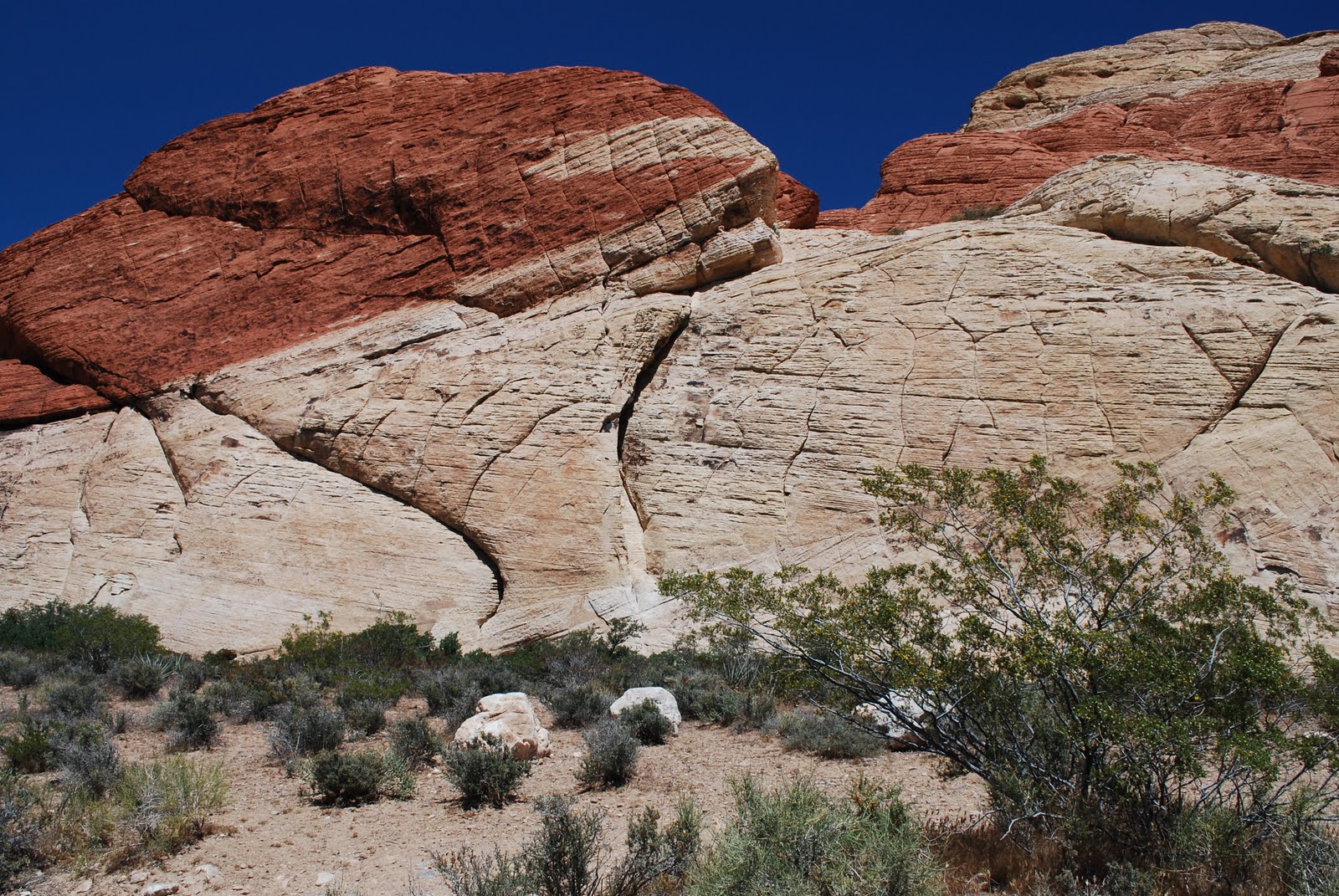desertsouthwest Red Rock Canyon, NV
