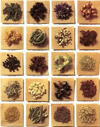 [şifalı+bitkiler.jpg]