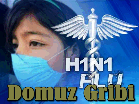 [domuz_gribi_001.gif]