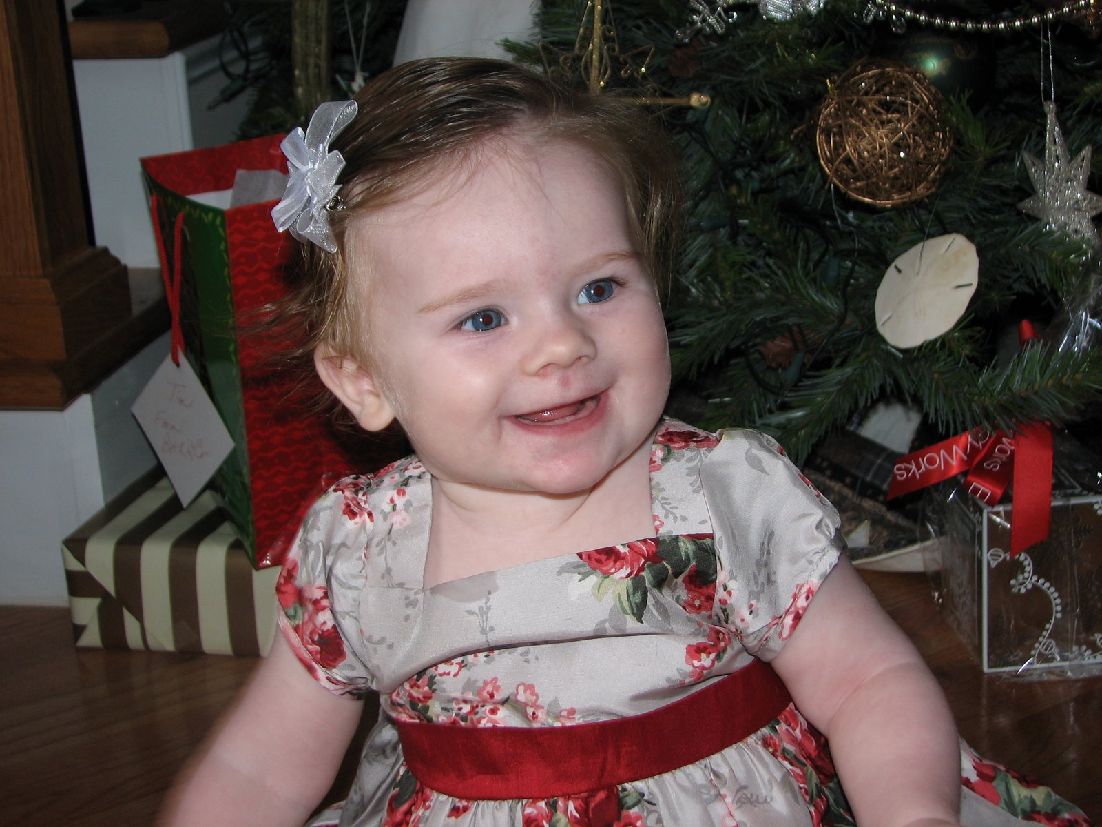 [Kelsey+-+7.75+mths+-+Christmas+in+Chattanooga+026.jpg]