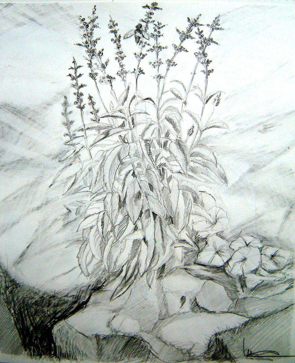 Art from the chasm: Drawing: outside