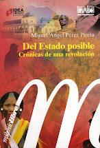 PEREZ PIRELA, "Del Estado Posible", Monte Avila Editores, 2008