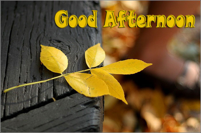 Good+Afternoon1.jpg