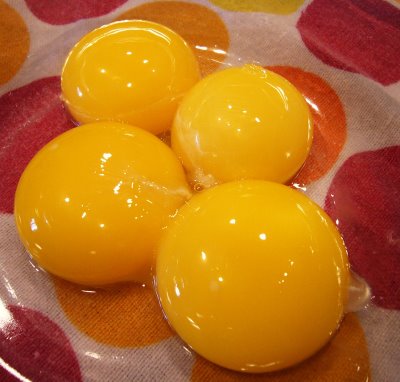 [egg_yolks.JPG]