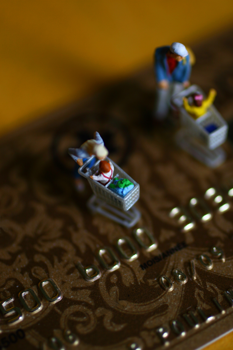 [shopping+by+credit.jpg]