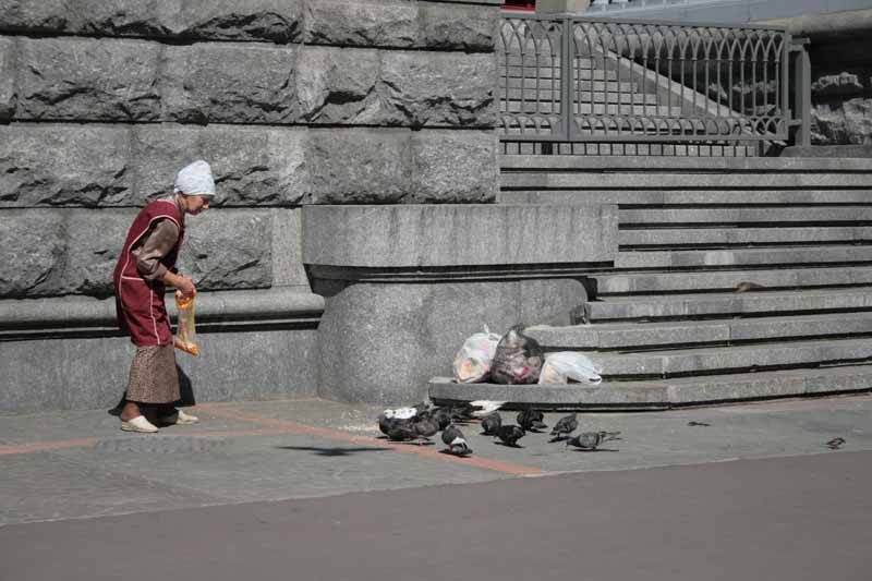 [madame+aux+pigeaons.jpg]