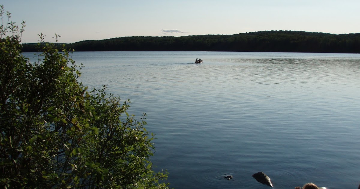 GrapeScot A Culinary Jewel in Algonquin Park