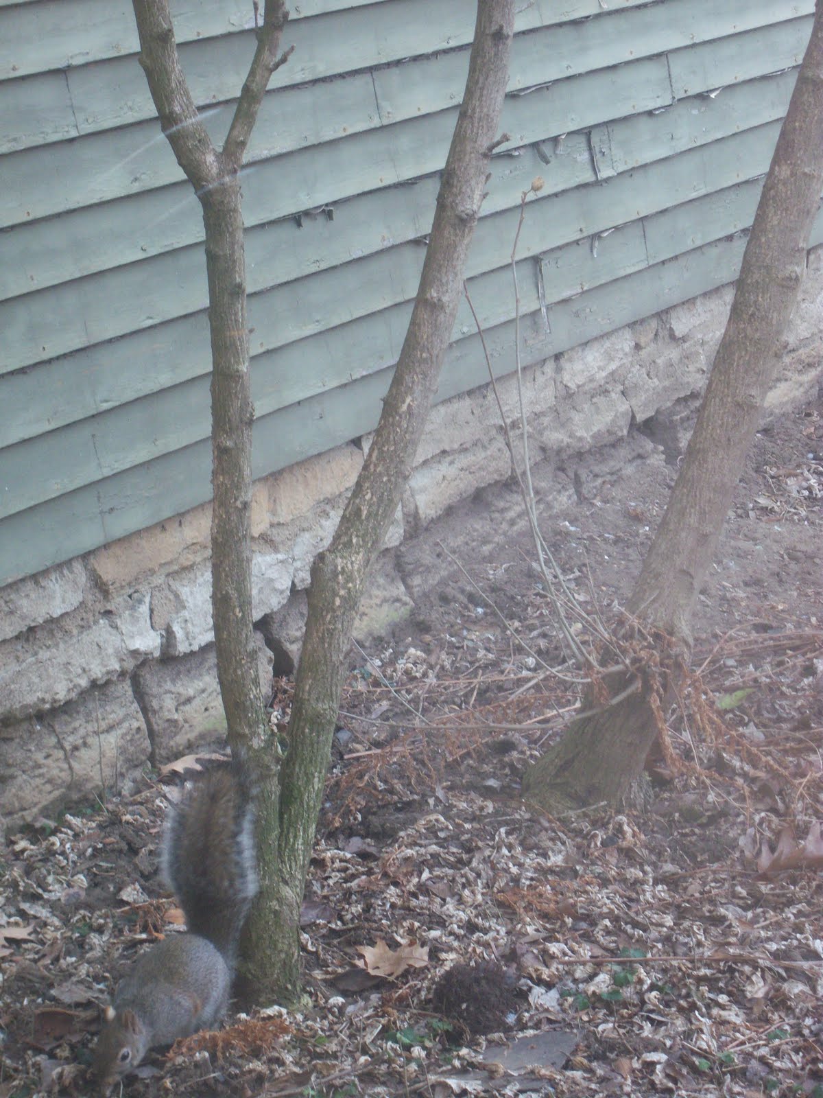 what we’re drinking 212. New Glarus Fat Squirrel Brown Ale