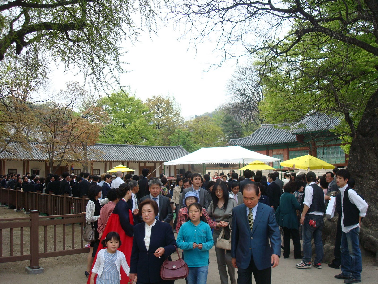 [DSC03432.JPG]