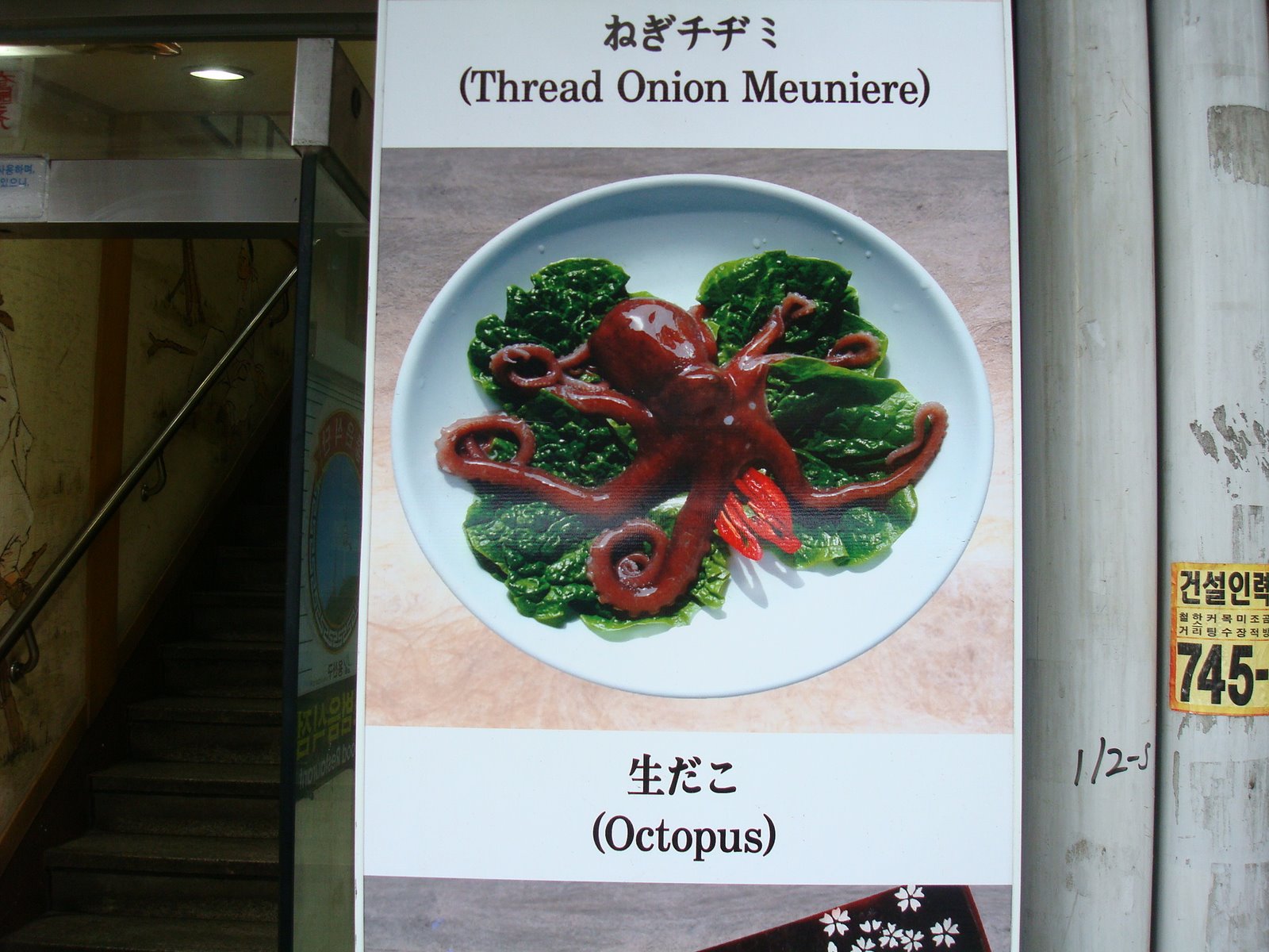 [DSC03562.JPG]