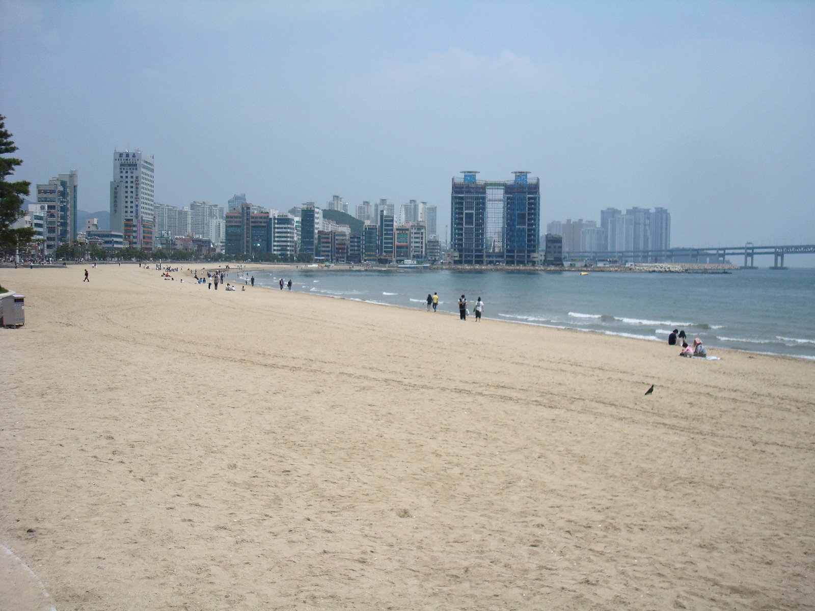 [DSC03654.JPG]