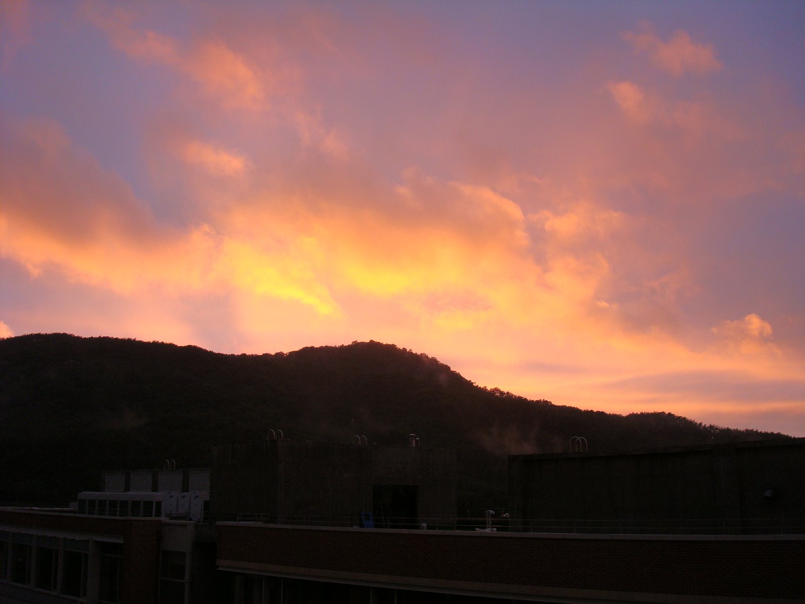 [DSC03842.JPG]
