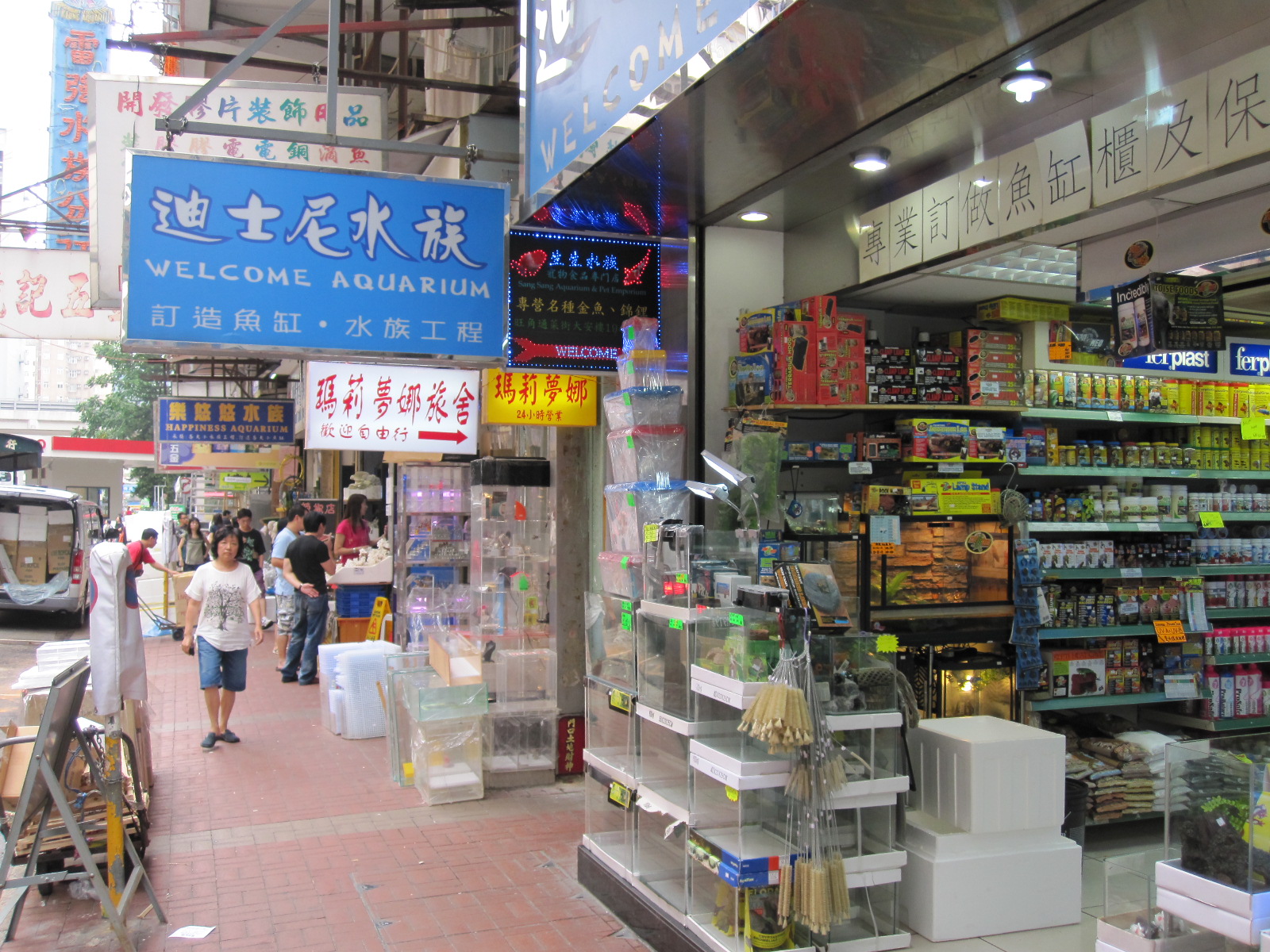 [IMG_0069.JPG]
