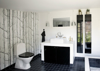 Cool Black And White Bathroom Design