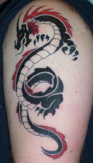 dragon tattoos on ribs. tribal dragon tattoos