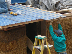 roof straw bale coop under bales metal