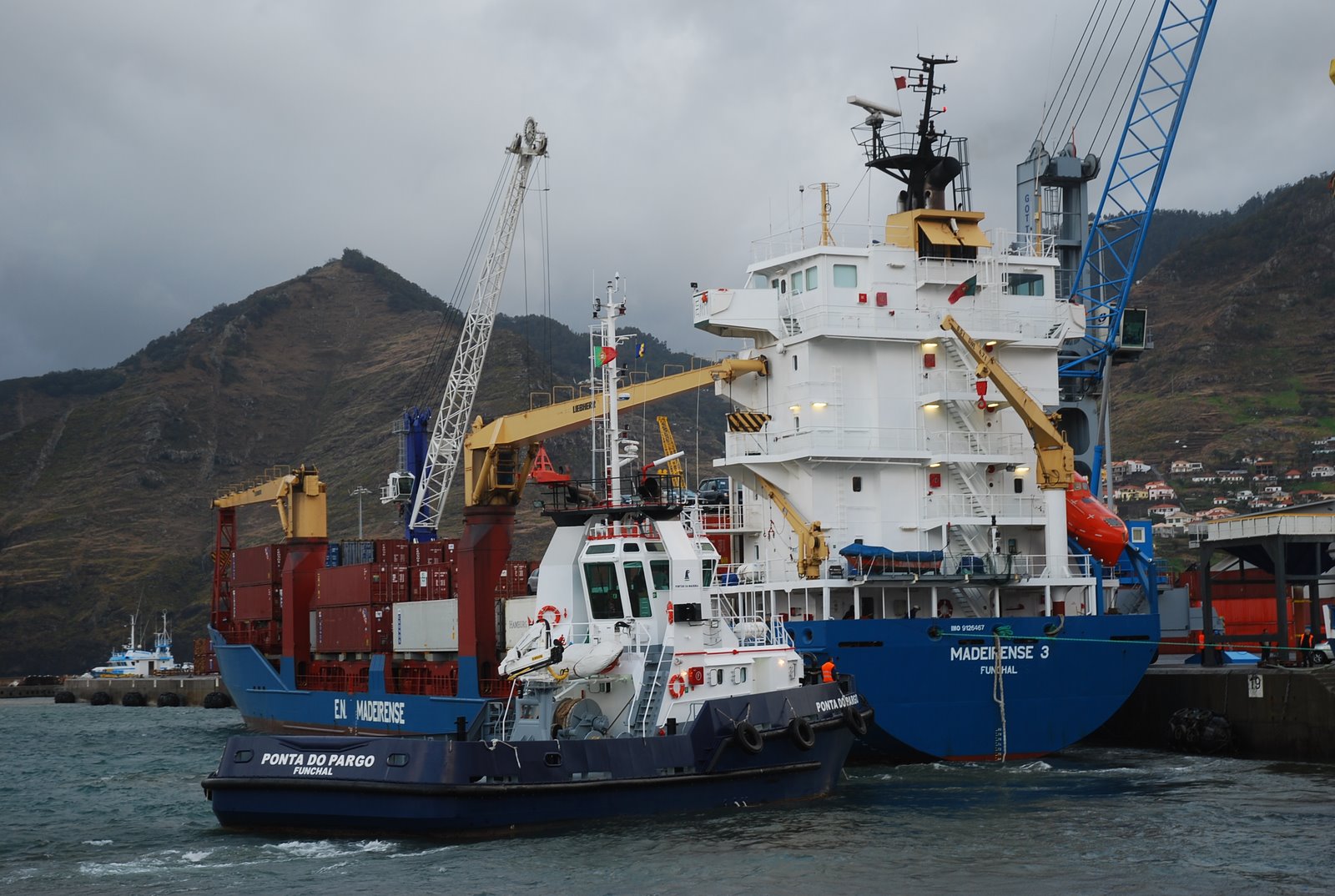 [2007-11-19+005.jpg]