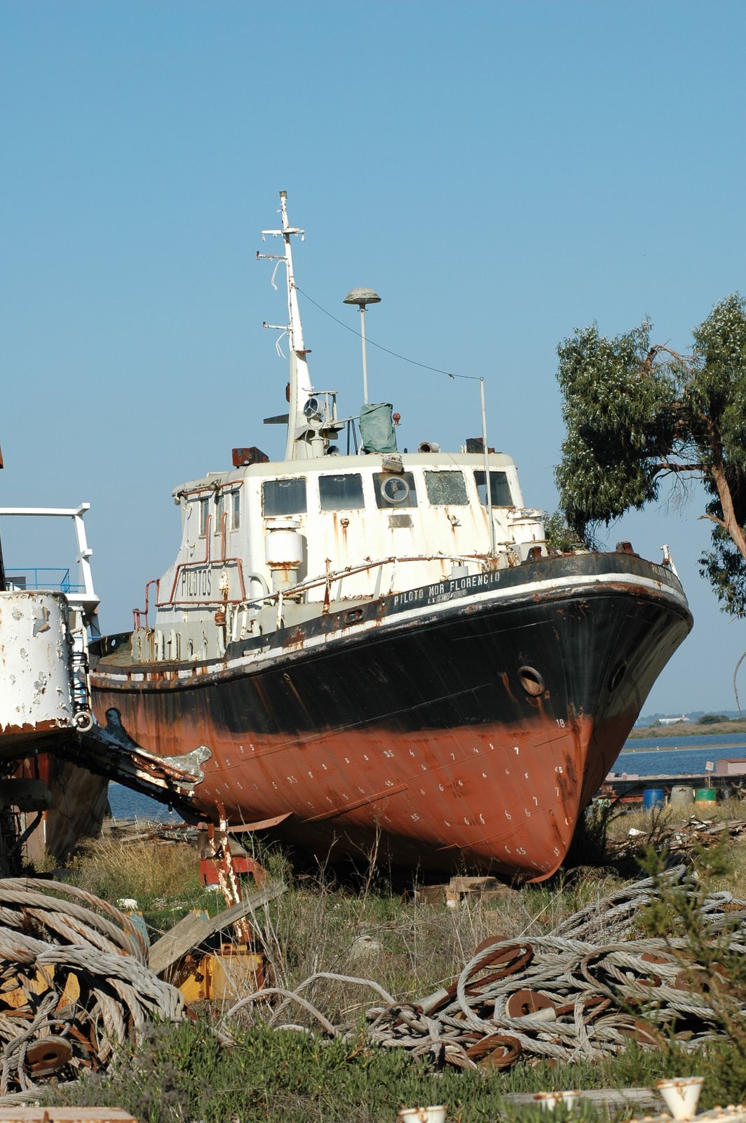 [2007-10-27+205.jpg]