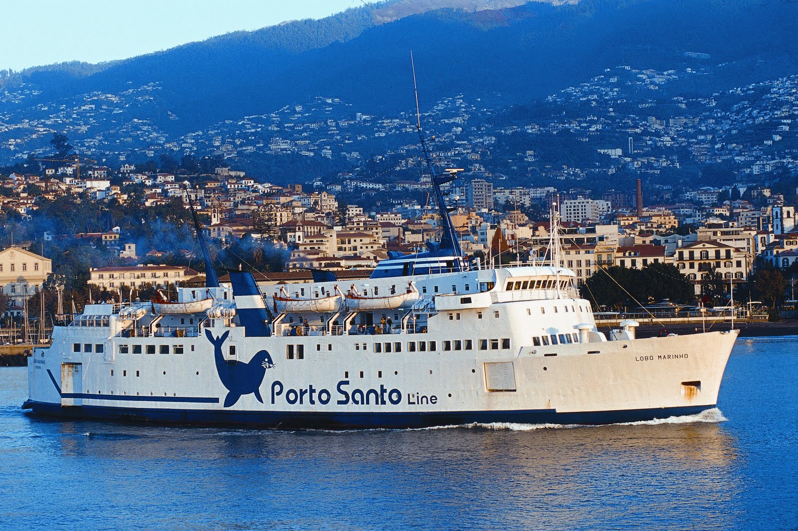 [LOBO+MARINHO+(I)+1996.jpeg]