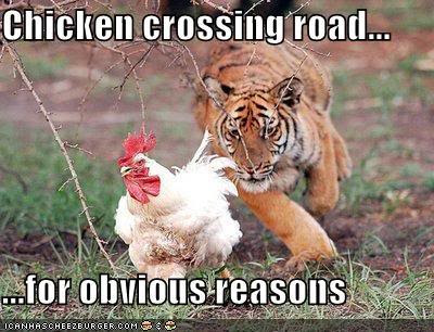 ChickenCrossingRoad.jpg