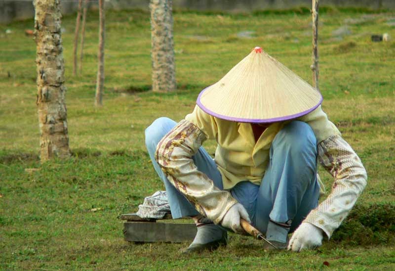23+ Alat Tukang Kebun Di Sekolah, Ide Spesial!