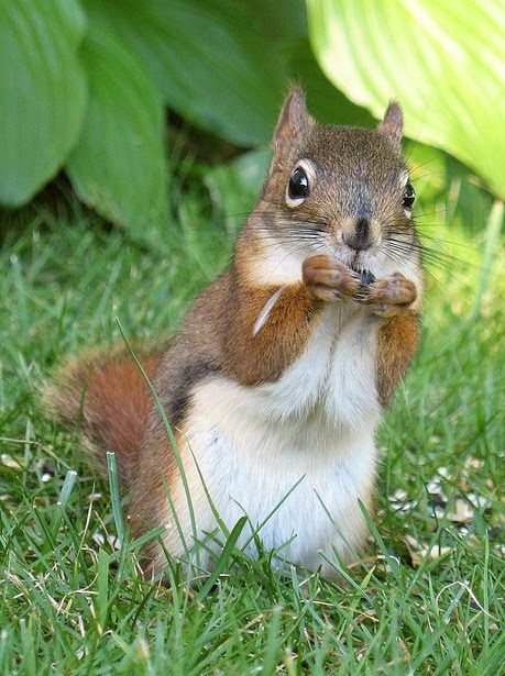 Distractions and Delusions: Gawkers & 