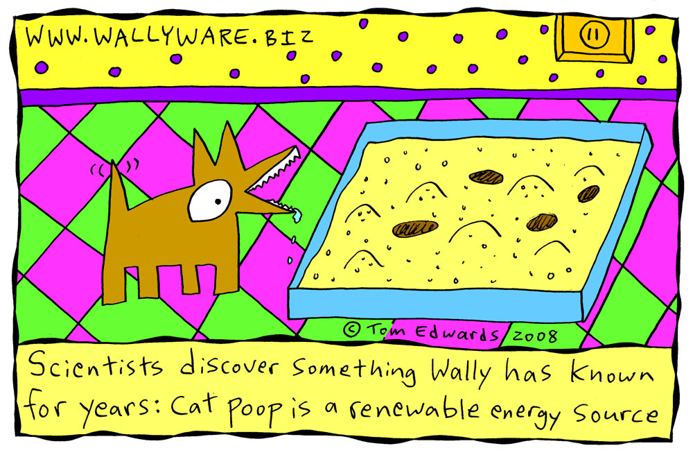 [catpoopsuperbig.jpg]