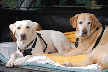 Me and my bestest mate, Sam !