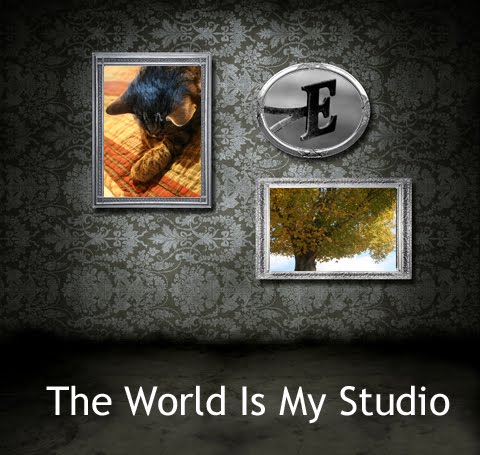 The World Is My Studio