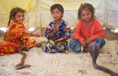 Nothing To Do With Arbroath: Children in India train to become snake ...