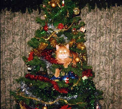 christmas tree cat stuck gets mouse