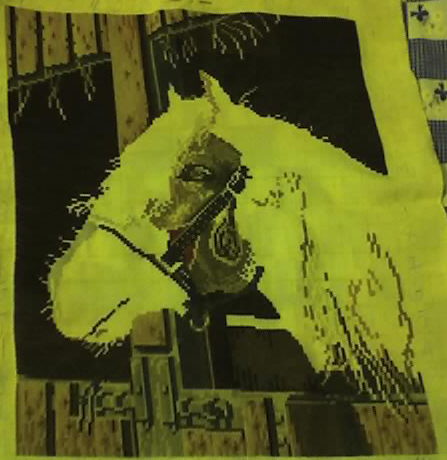 [25-01-10bigview.jpg]