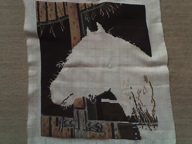 [28-03-09BigView.jpg]