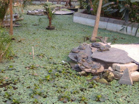 [EstacionesFerrocarril_08.jpg]