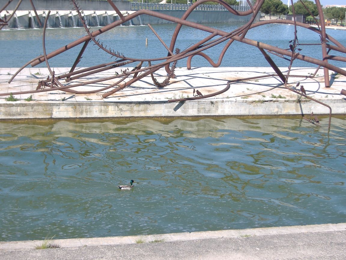 [ParqueJuanCarlosI_08.jpg]